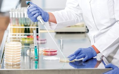 Herausforderungen beim Testen auf Enterobacteriaceae