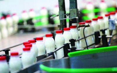 New Processing Challenges with Plant-Based Beverages