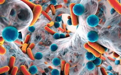 Biofilms and Their Relationship to ATP