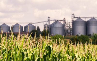 Managing Mycotoxins in Feed Mills